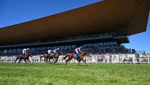 <p>Great Barier Reef and Ryan Moore win for trainer Aidan O'Brien at the Curragh. Healy Racing</p> <p>Great Barier Reef and Ryan Moore win for trainer Aidan O'Brien at the Curragh. Healy Racing</p>