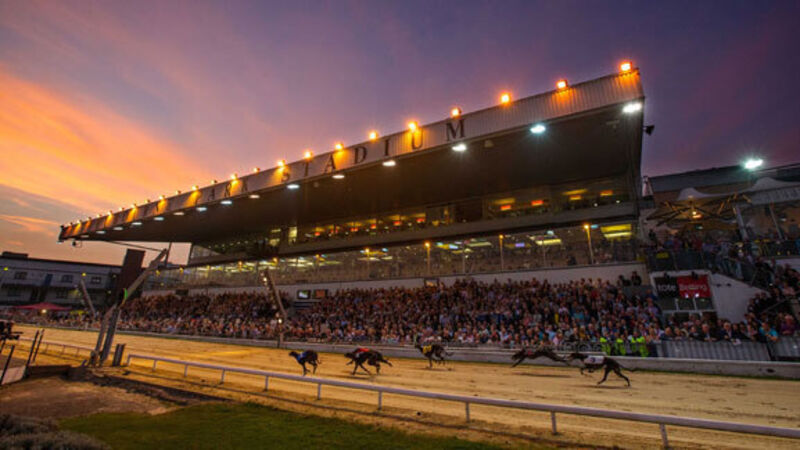Ballyhooly Henry turns in flawless display at Shelbourne Park Ballyhooly Henry turns in flawless display at Shelbourne Park
