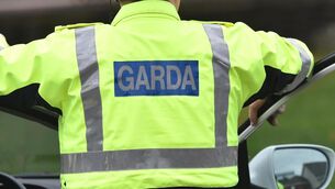 <p>Picture: Dan Linehan.</p> <p>Picture: Dan Linehan.</p>