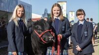 07A19189-5B36-4C08-8805-88F1D1FBA8C7.jpeg How a team from Galway aims to promote Irish Angus beef perceptions