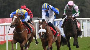 <p>Grainne A Chroi & John Shinnick win the Grade 3 Quevega Mares Hurdle. Pic: Healy Racing </p> <p>Grainne A Chroi & John Shinnick win the Grade 3 Quevega Mares Hurdle. Pic: Healy Racing </p>