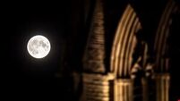 ‘Wolf moon’ lunar eclipse delights skygazers