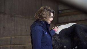 <p>Maura Langan of Norbrook advises farmers to beware of a worrying spike in cases of milk fever this spring. Preventative action now can help minimise the threat to the health of their herds.</p>