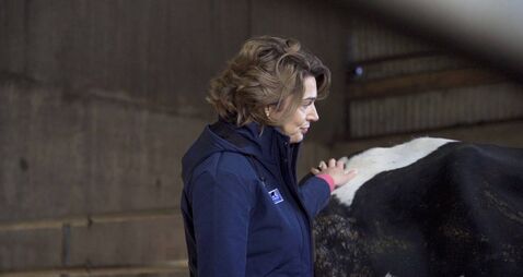 Metabolic diseases on the rise this spring