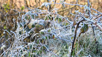 Met Éireann issues snow and ice alert for Cork as entire country under at least one warning