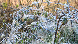 <p>Met Éireann has said that "showers may fall as sleet or snow with some accumulations possible". Picture: Denis Minihane.</p>