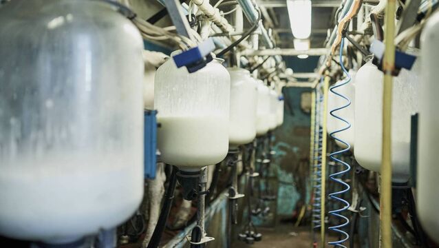 <p>From January 2025 to 2026, milk output price dropped by 27.3%.</p>