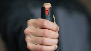 <p>After the defendant produced three knives described as kitchen knives she had to be pepper-sprayed in order to subdue her. File picture</p>