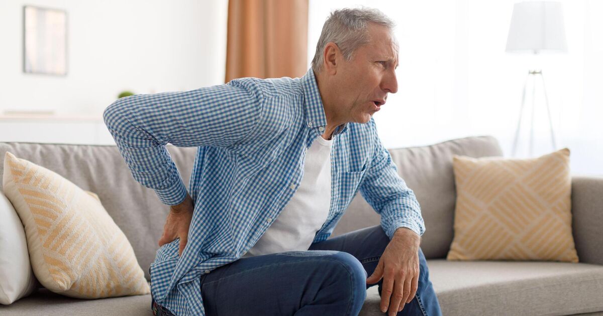 Doctors expect prototype data system to facilitate early identification of kidney disease