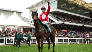 <p>LEESIDE DELIGHT: Jockey JJ Slevin celebrates on Home By The Lee after winning the Paddy Power Stayers' Hurdle. Pic: Harry Murphy/Sportsfile</p>
