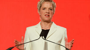 <p>Labour leader Ivana Bacik condemned what she said was 'dog-whistle rhetoric from government' and that an 'information campaign emphasising the positive benefits of inward migration' is needed. File picture: Sasko Lazarov/Photocall Ireland</p>