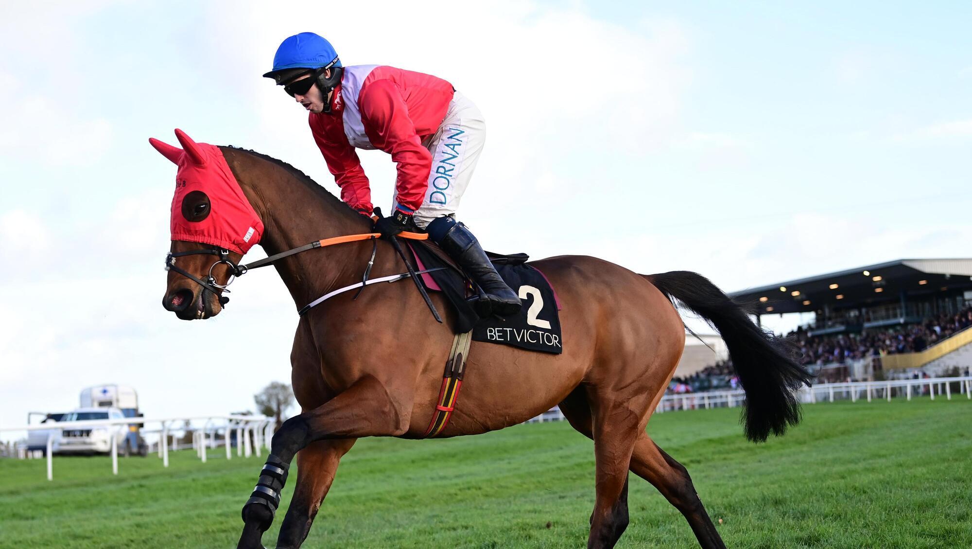 LAST CHANCE: Envoi Allen has one more shot at Gold Cup glory. Pic: Healy Racing