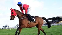Three things we will learn on the final day of Cheltenham Festival