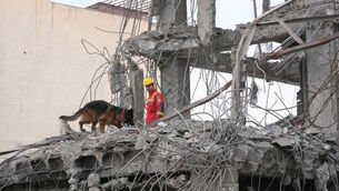A rescue worker and a sniffer dog in the rubble of a residential building in Tehran (Vahid Salemi/AP)