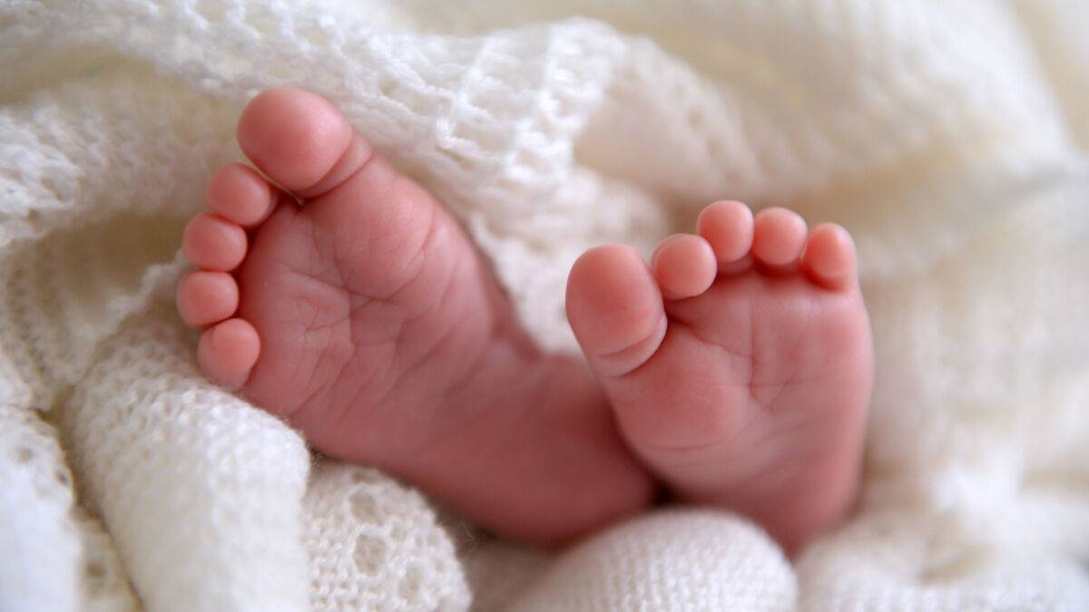 Illegal birth registration: Public asked about legislation plans 