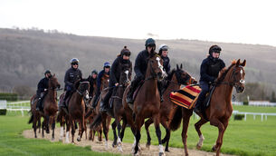 <p>READY TO GO: Willie Mullins trained horses on the gallops on day four of the 2026 Cheltenham Festival. Photo Mike Egerton/PA Wire. </p>
