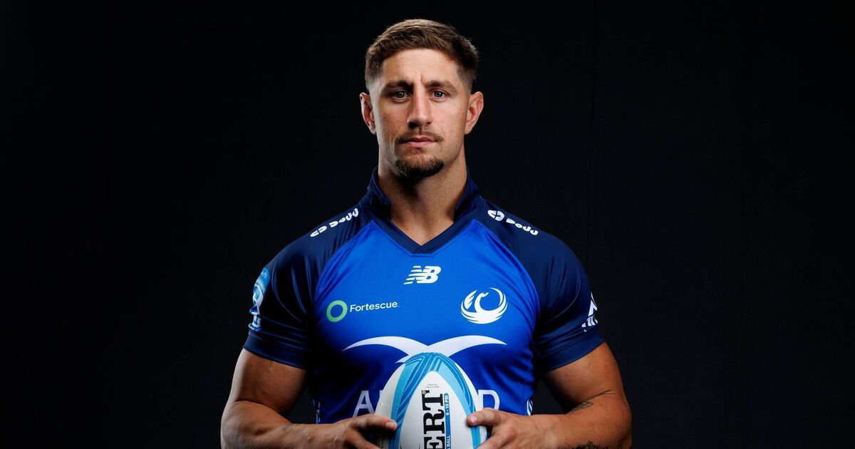 Suddenly, Australia have the shape of something intriguing