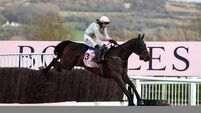 Cheltenham Racing Festival - Day Four