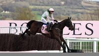 Cheltenham Racing Festival - Day Four