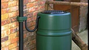 <p>Waterbutts are a cost-effective way of having access to water.</p>