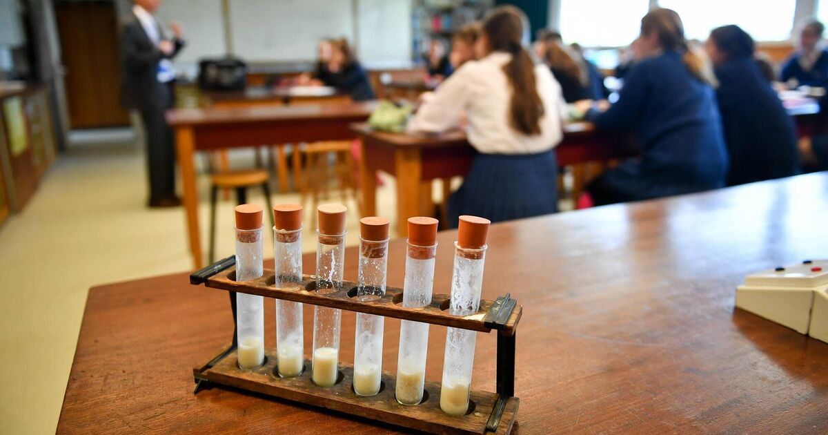 Cork teacher struck off after making false claims about qualifications