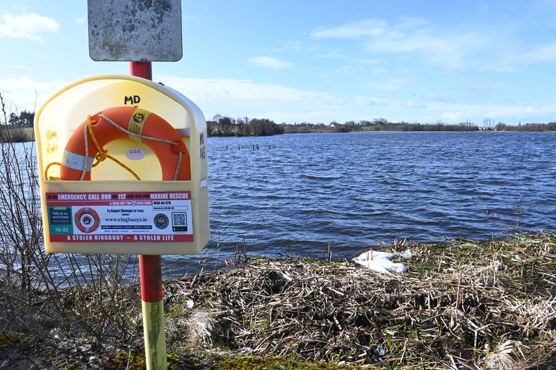Local residents and members of Ballintotis Community Council expressed concern about the delayed removal of the dead birds from the popular amenity. Picture: Larry Cummins