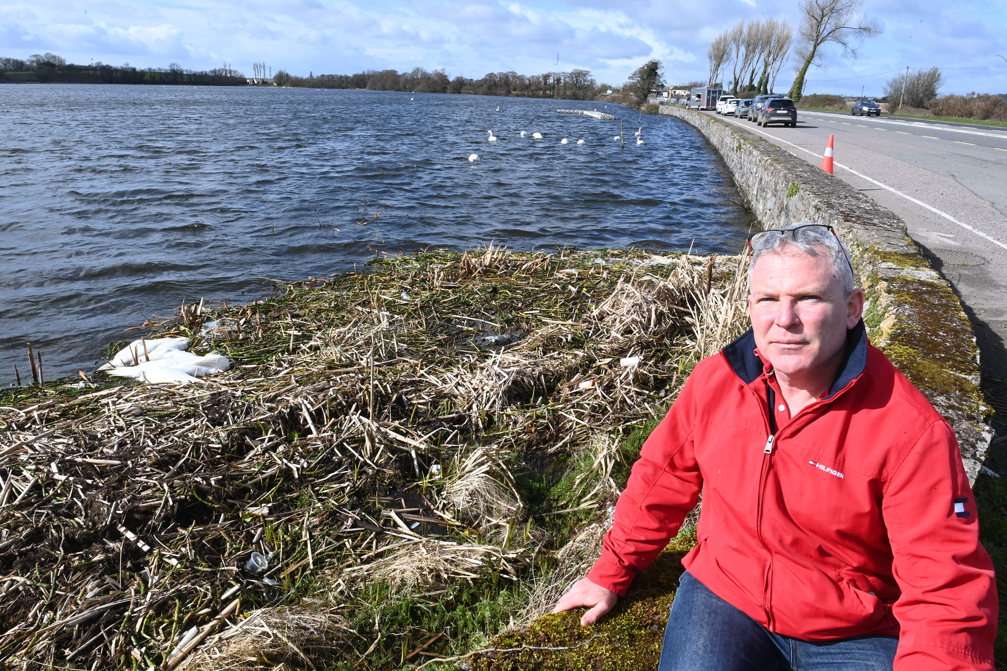15 dead swans as bird flu confirmed in East Cork