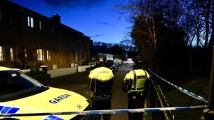 <p> Garda cordon at Innismore Park, Ballincollig Cork on Friday night. Picture: Larry Cummins</p>