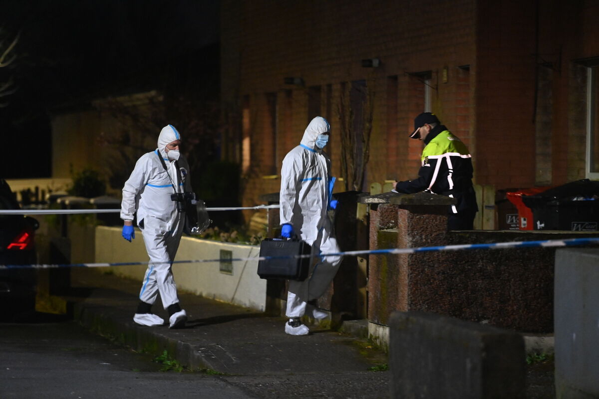  Garda crime scene investigators enter a house at Innishmore Park, Ballincollig Cork on Friday night. Picture: Larry Cummins