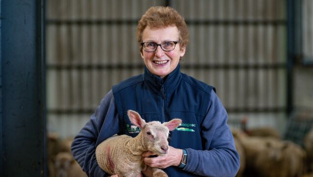 <p>Kay O’Sullivan pictured with a day-old lamb in the sheep barn at her organic farm, Glynn Farm, near Mallow. Picture Chani Anderson</p>