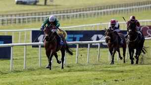 <p>SWEET RIBS: Ribee (left) ridden by jockey Declan McDonogh on their way to winning Nua Healthcare Irish Lincolnshire at Curragh Racecourse, County Kildare, Ireland. Pic: Damien Eagers/PA Wire</p> <p>SWEET RIBS: Ribee (left) ridden by jockey Declan McDonogh on their way to winning Nua Healthcare Irish Lincolnshire at Curragh Racecourse, County Kildare, Ireland. Pic: Damien Eagers/PA Wire</p>