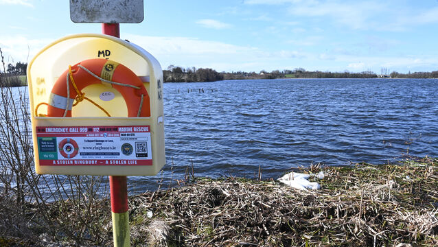 <p> The carcasses of dead swans remain in place at Loughaderra lake at Castlemartyr, East Cork at lunchtime on Friday,  March 13. Picture: Larry Cummins</p>