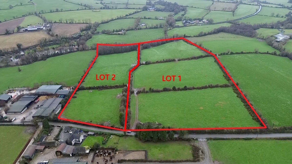 The 25-acre farm at Craanhill, Gorey Co Wexford, sold immediately after auction.
