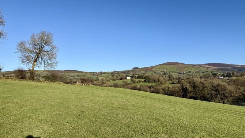 Brace of farms sell to local farmers post-auction