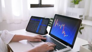 <p>Economist Alan McQuaid says finance minister Simon Harris needs to come up with a simple 'Lady Bird' explanation as to how investments work.</p> <p>Economist Alan McQuaid says finance minister Simon Harris needs to come up with a simple 'Lady Bird' explanation as to how investments work.</p>