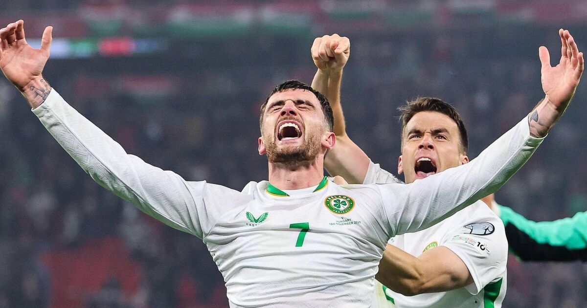 Pubs may be allowed open early for World Cup matches if Ireland qualifies