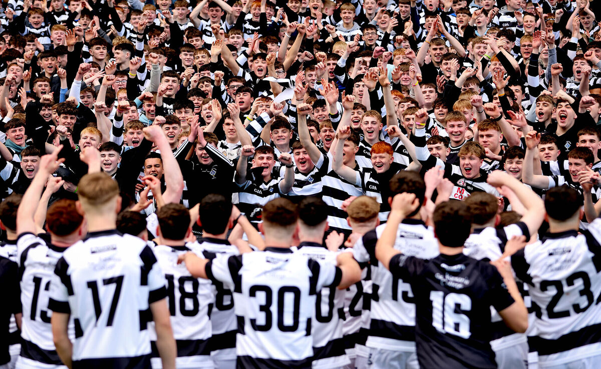 St. Kieran's fans celebrate their team winning. Pic: Ryan Byrne/Inpho