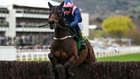 Cheltenham Racing Festival - Day One