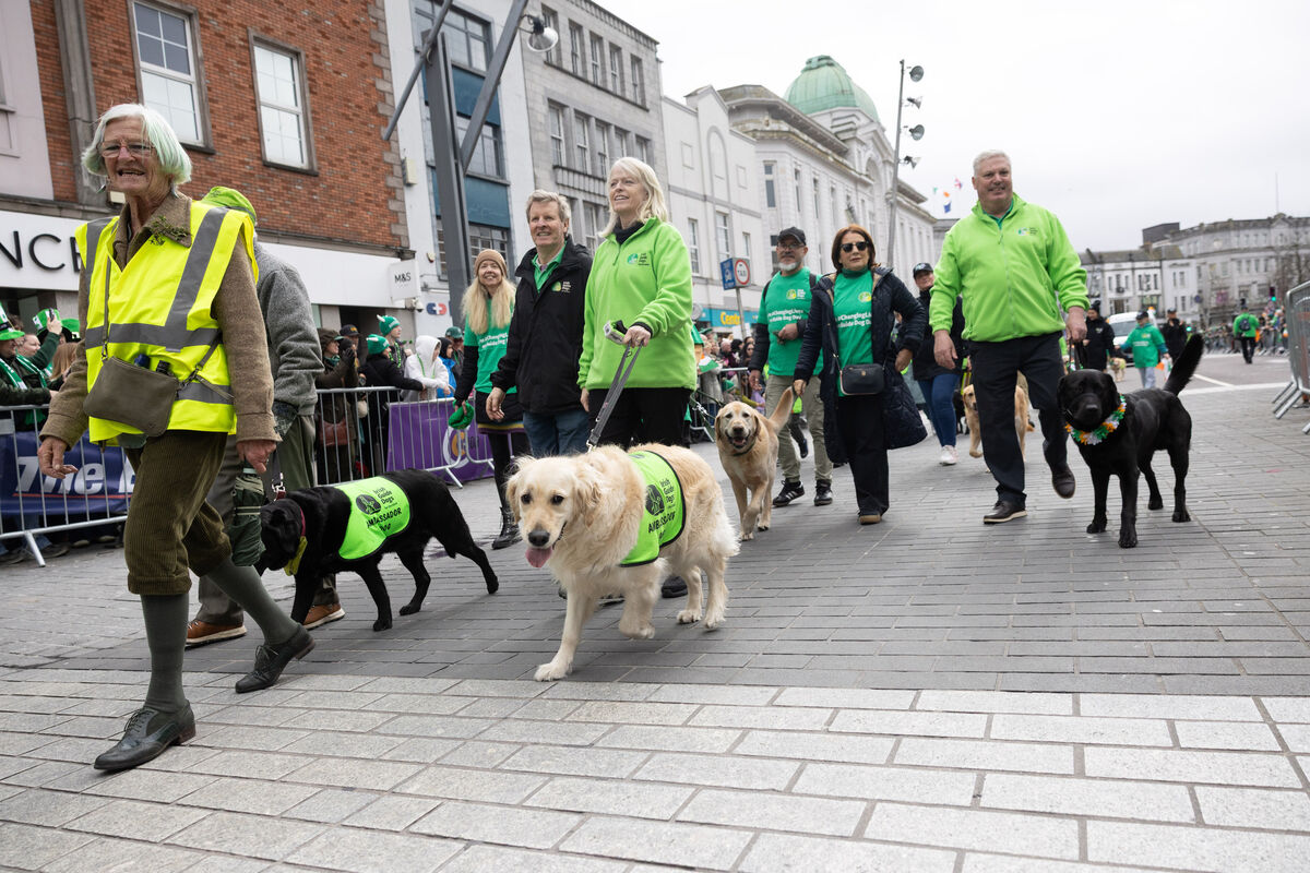 Grand Marshal Irish Guide Dogs at Cork's St Patrick’s Day parade  Picture: Darragh Kane