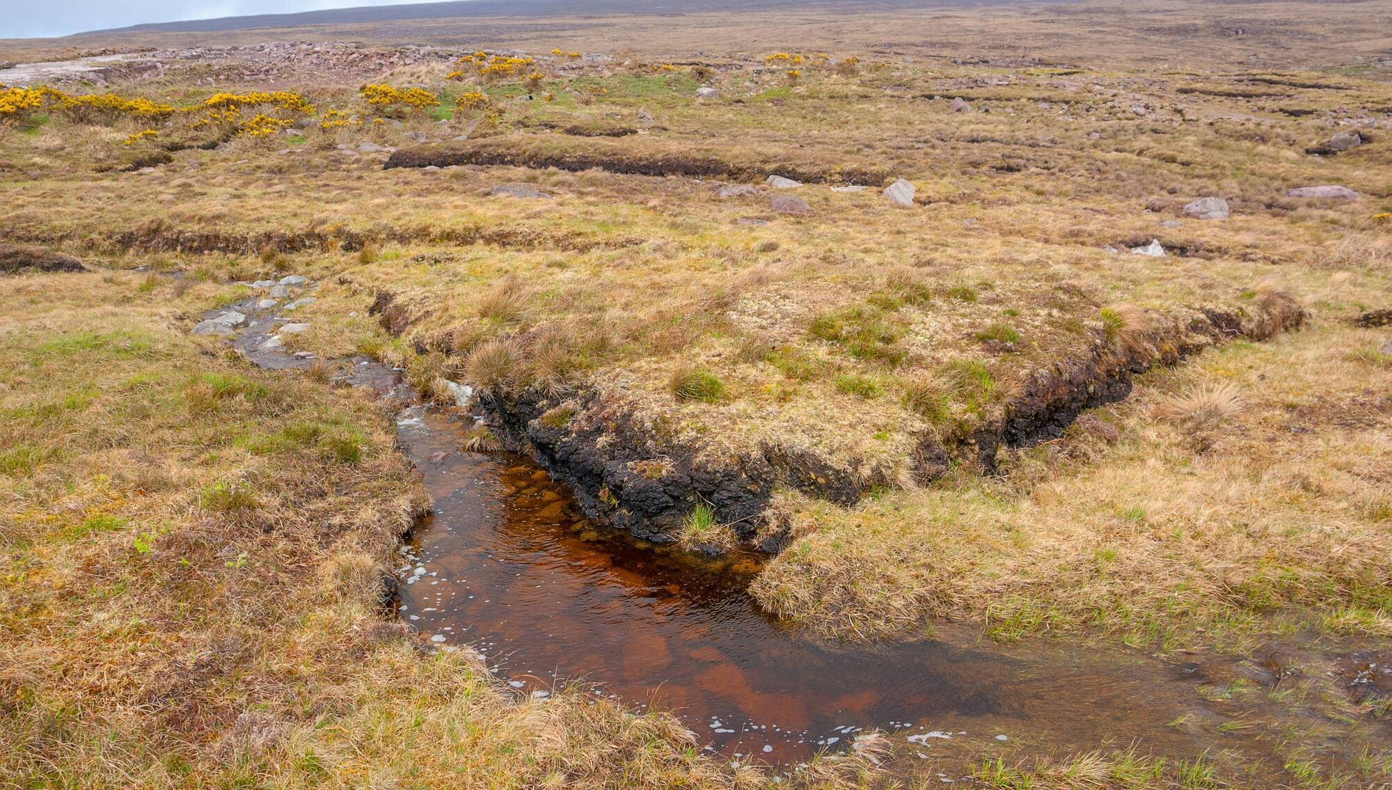 For peat's sake: We cannot afford to let the damage to our wetlands continue