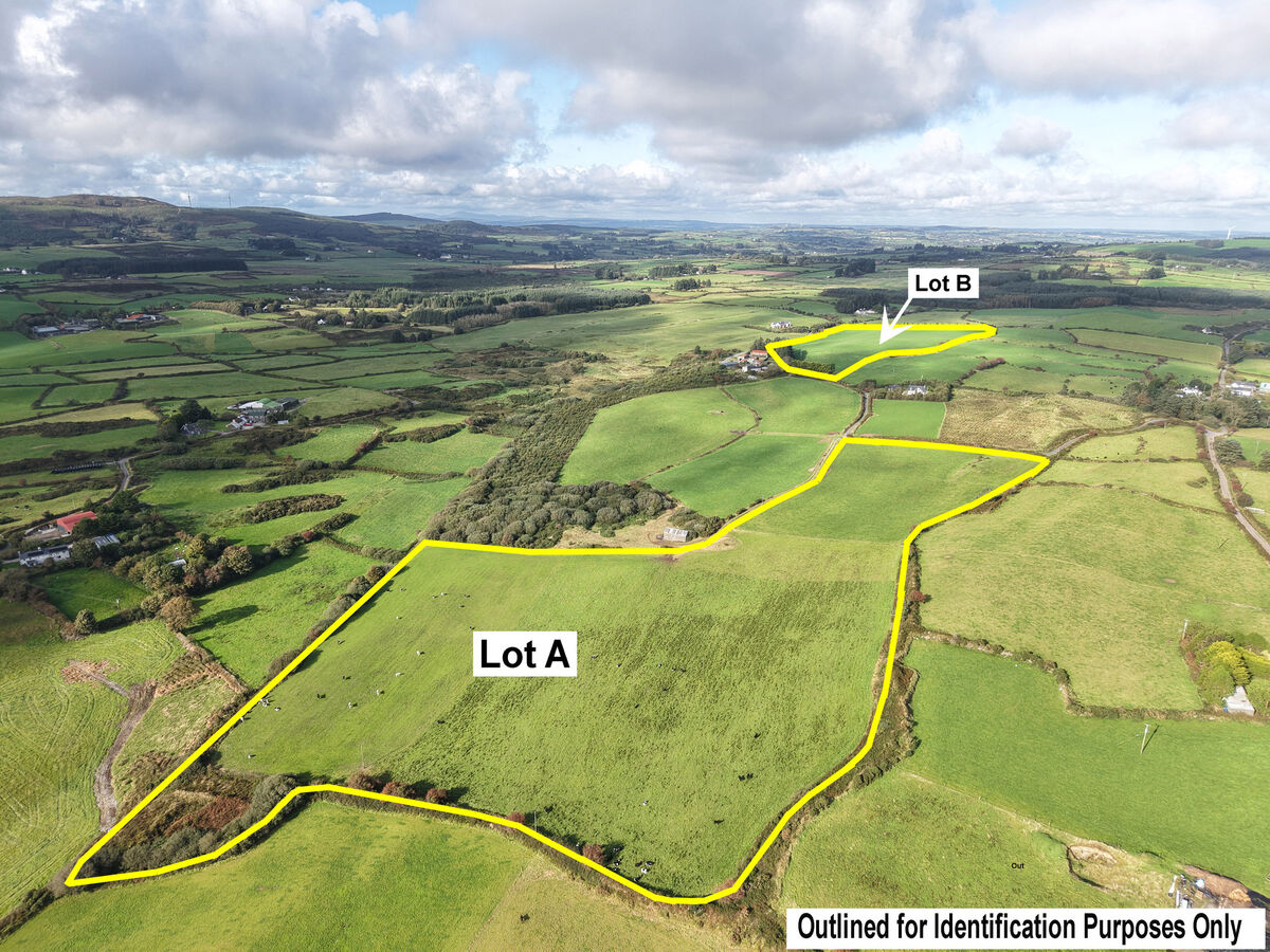 The 37-acre farm at Cashel, Leap, Co Cork. 