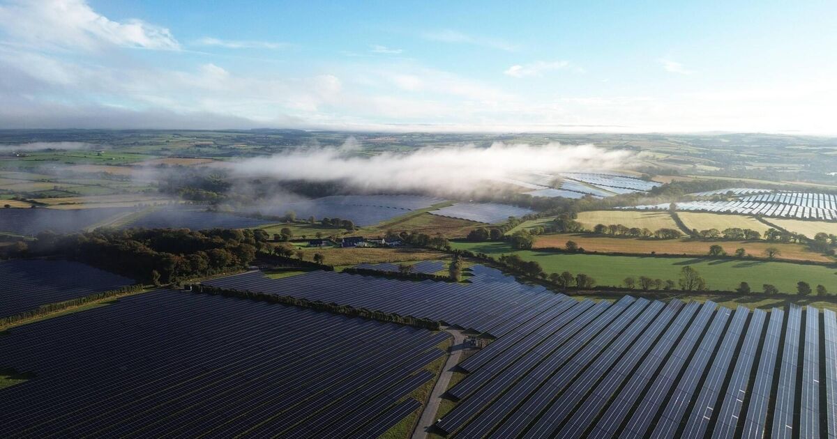 European Investment Bank backs €250m plan for solar projects in Munster and Leinster 