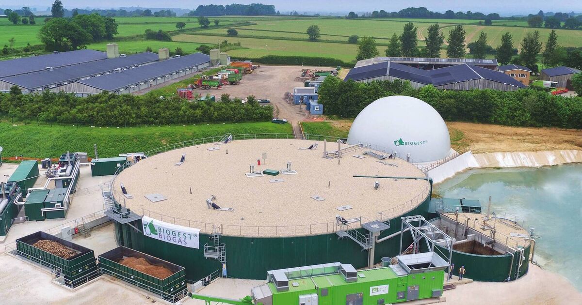 Rule changes to allow biomethane into power grid