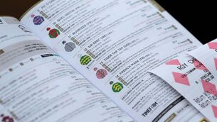 <p>Robert Heneghan, whose company Pro Sports Advice Ltd is involved in the provision of tips for the horseracing industry, has brought the proceedings against another tipster, Gearóid Norris, of Harold Place, Mallow, Co Cork. File picture: INPHO/Dan Sheridan</p>