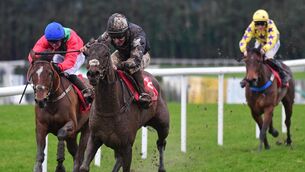 <p>Robert Tyner decided to bring Kobalt St Georges back to hurdling at Punchestown in late January. Pic: Healy Racing Photo.</p>