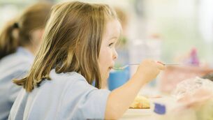 <p>Some 78% noted that their children did not enjoy the variety of the food. File picture</p>