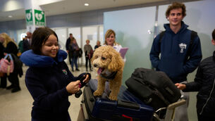 A repatriated Greek woman and her dog arrive at Athens International Airport after being evacuated from Abu Dhabi (Petros Giannakouris/AP)