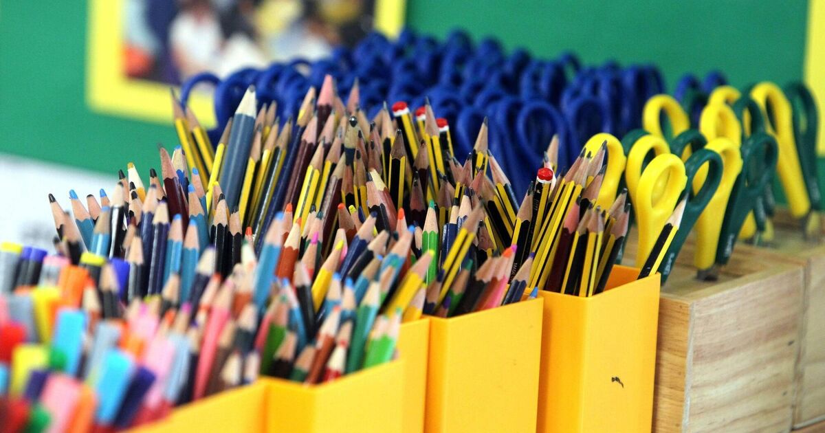 Government 'not in a position' to confirm children with additional needs will have school place this year