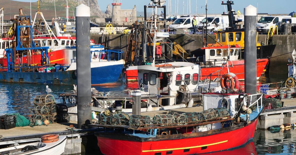 The decline of the Irish fishmonger: 'If we don’t start looking after them, we’re going to lose them'