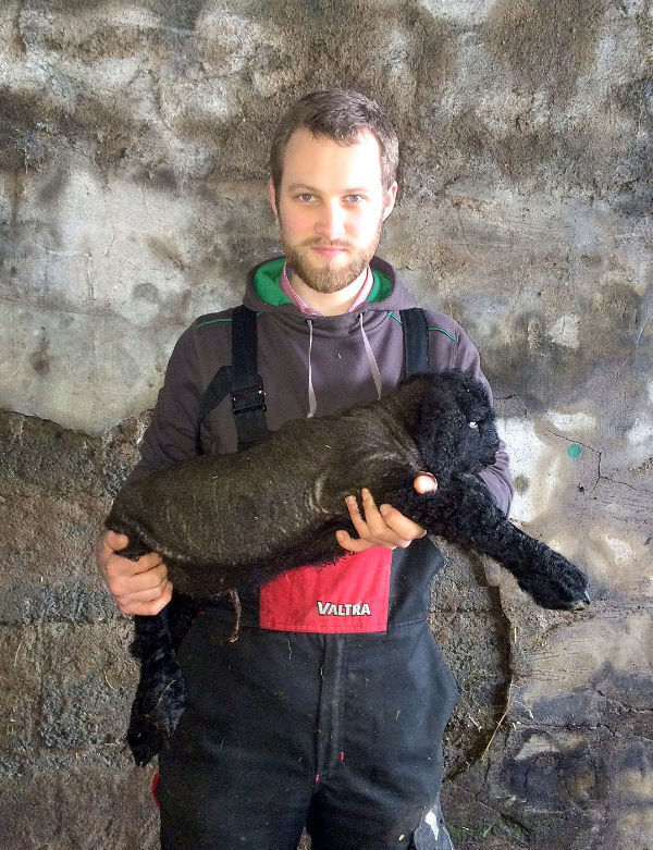 Farmer Nigel White with his huge lamb called Monclone Mighty. Picture: Chris McCullough. Farmer Nigel White with his huge lamb called Monclone Mighty. Picture: Chris McCullough.